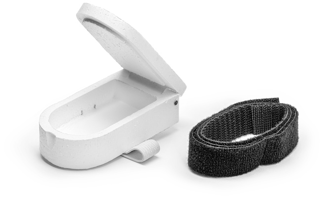 Kārbiņa Motilim Asseri M