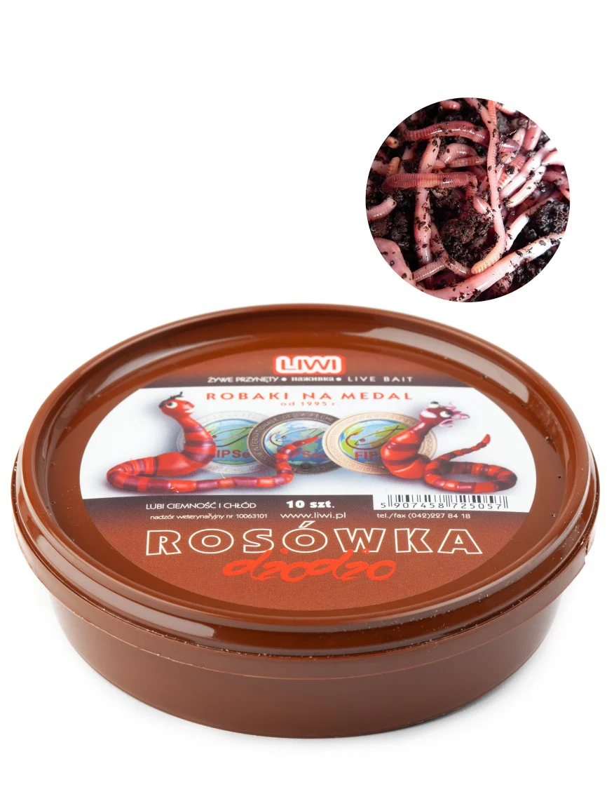 naktstārpi makšķerēšanai